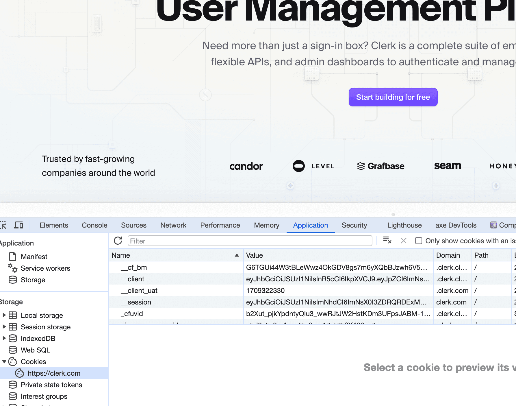 cookies in browser console