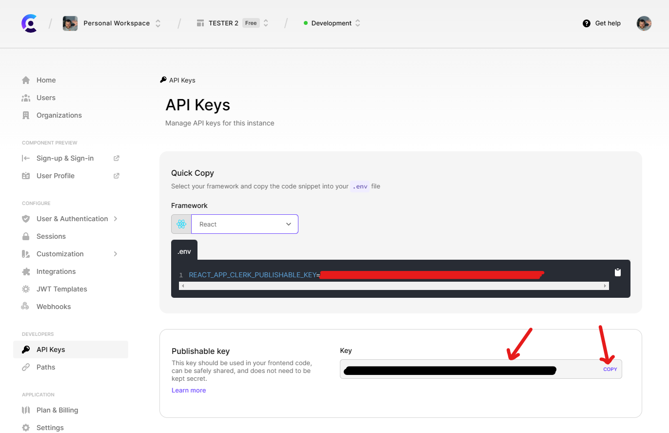 Copy the API key from the key field listed on the page