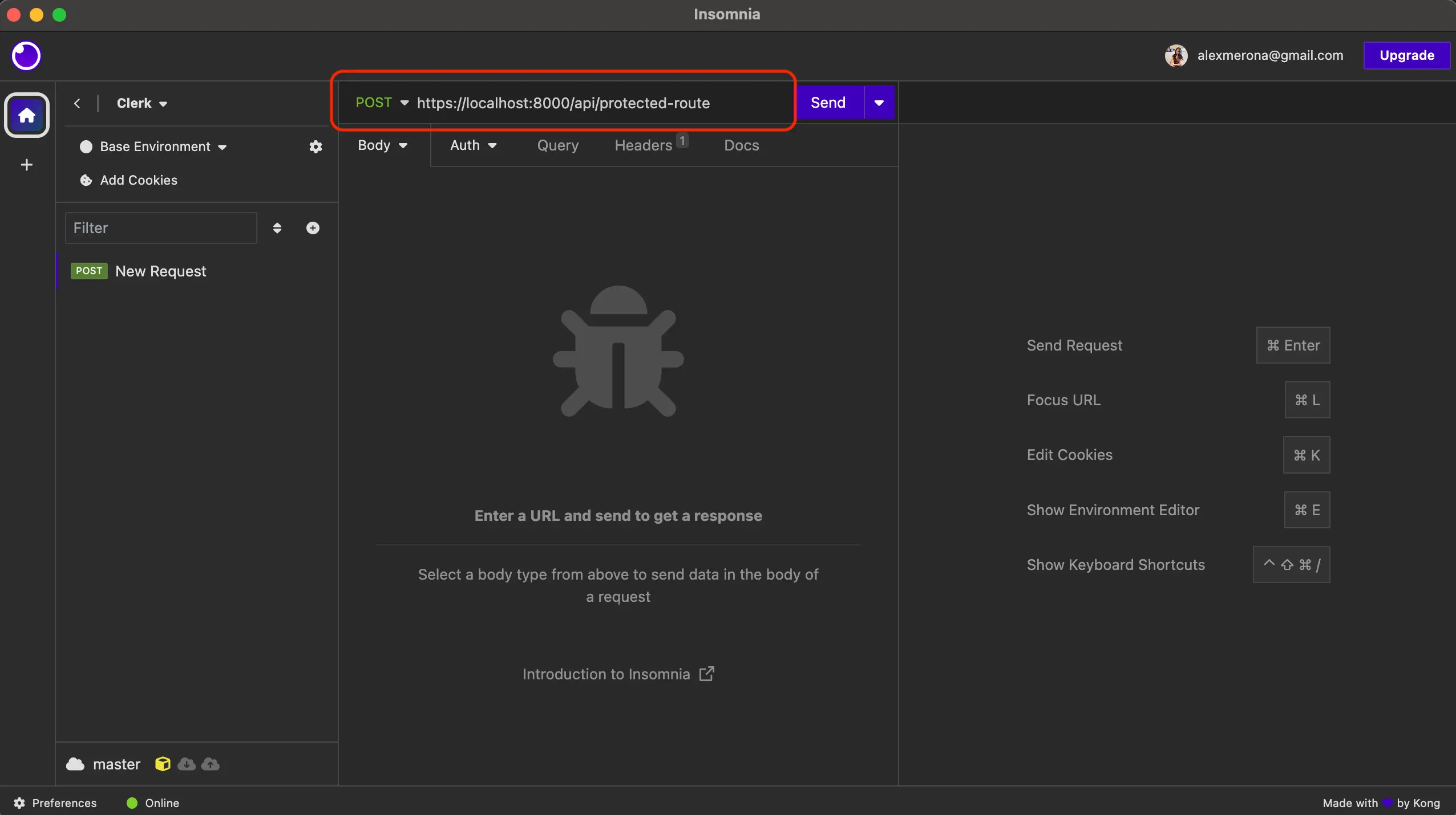 The Insomnia app with a red box around the method and URL field